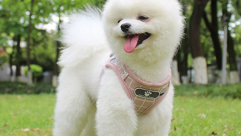 冷水机节能型号推荐
